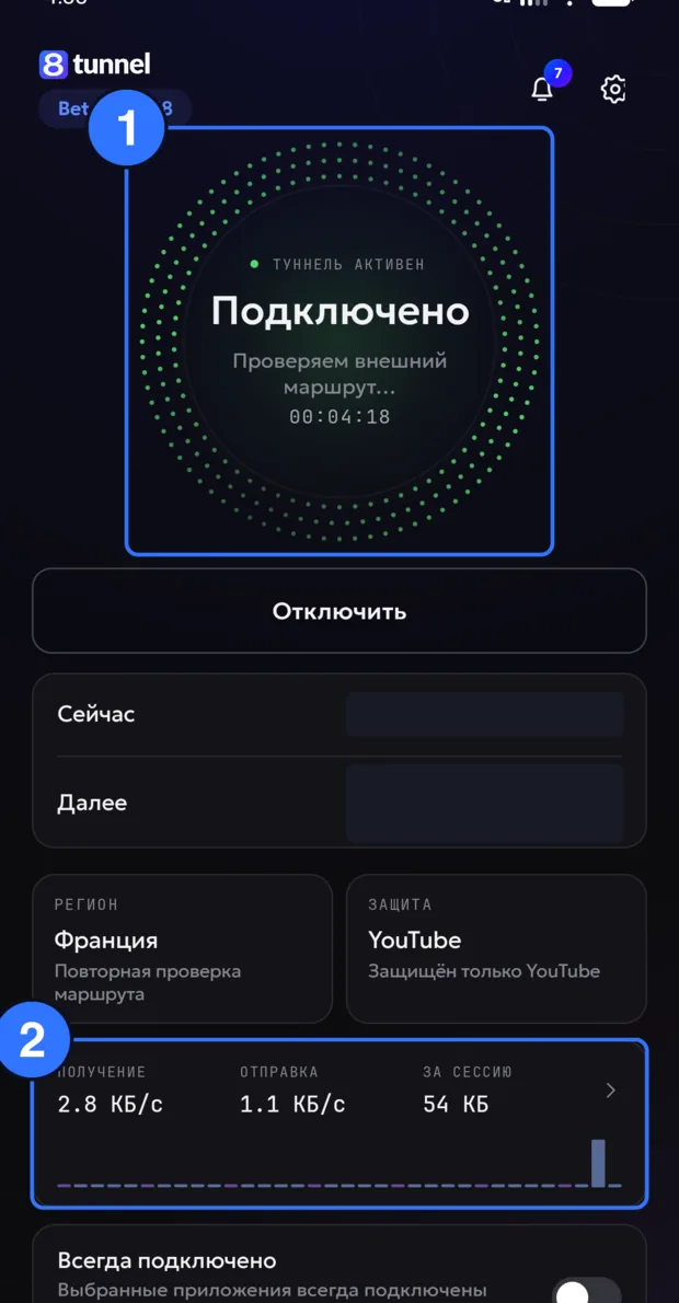 Главный экран 8tunnel в подключённом состоянии