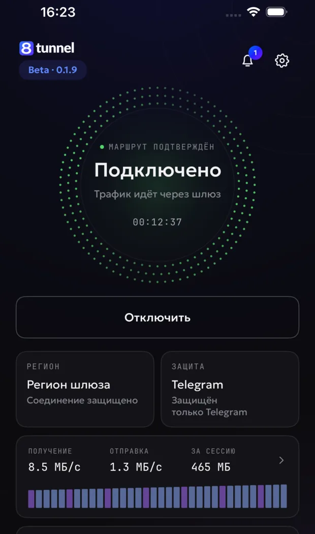 Главный экран 8tunnel на iPhone в подключённом состоянии